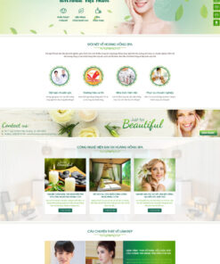 Theme wordpress Spa 3