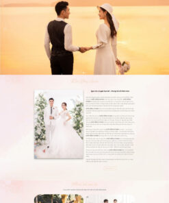 Theme wordpress Studio