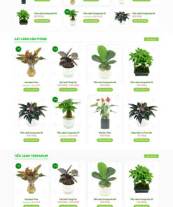Theme wordpress Chậu Cây 2